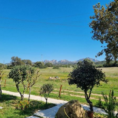 Lu Antu Alloggi Agrituristici 아르자케나 외부 사진