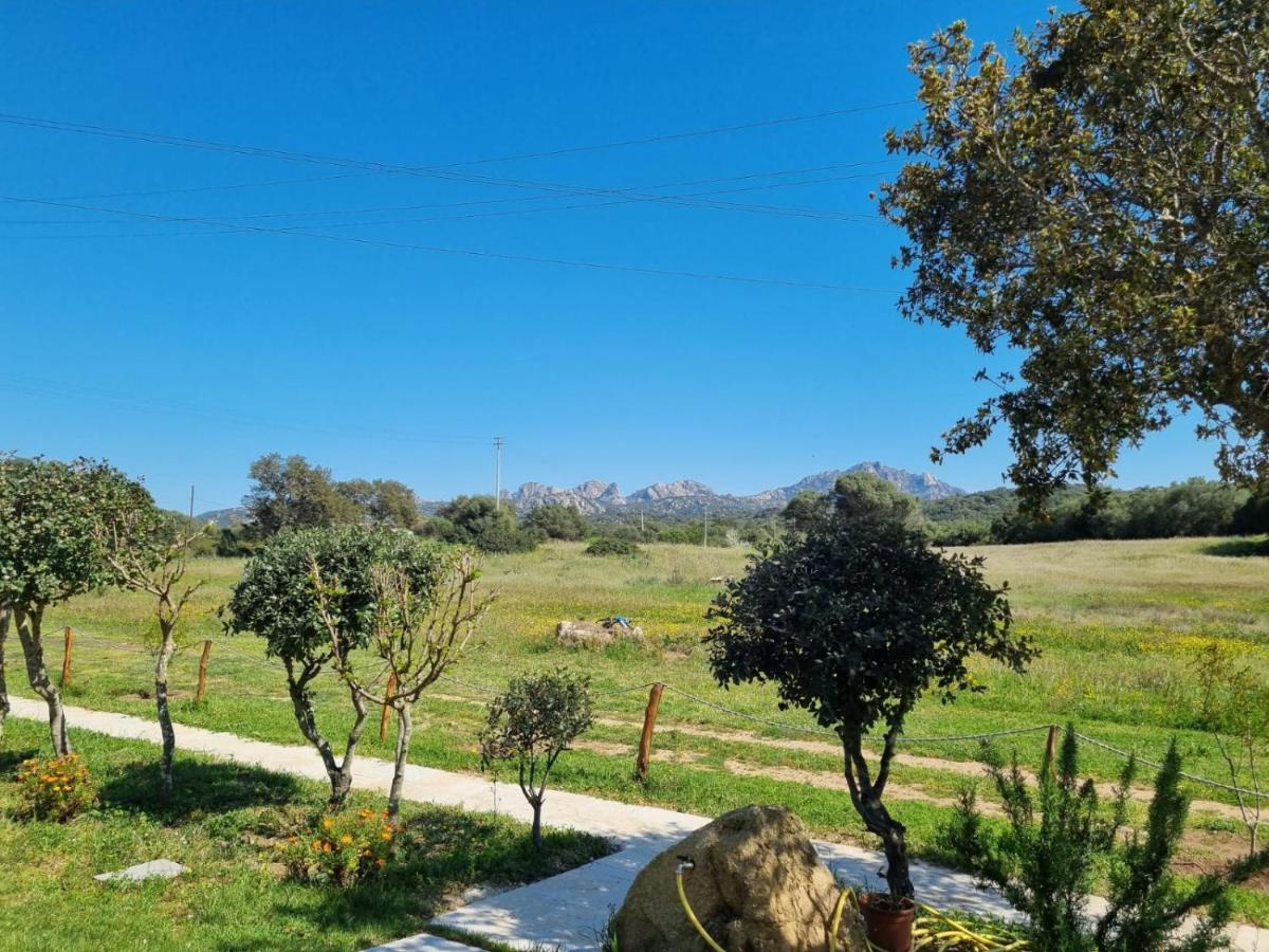 Lu Antu Alloggi Agrituristici 아르자케나 외부 사진